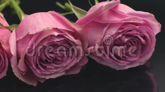 玫瑰的粉红色在一个黑暗的背景上散发着清新的香水气味花束礼物惊喜玫瑰花的爱情心情视频的预览图