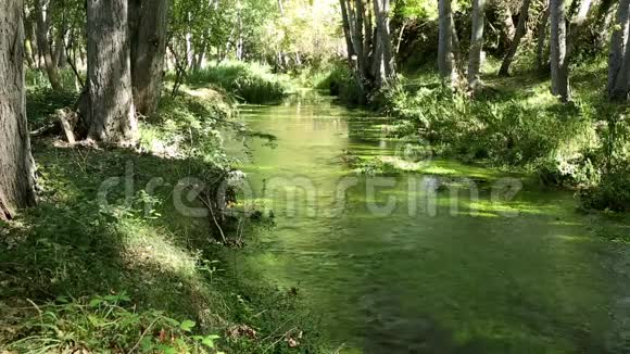 西班牙瓜达拉哈拉省曼达约纳的Dulce河视频的预览图