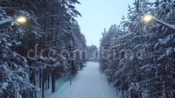 公园里白雪皑皑的小路上挂着灯笼剪辑冬季公园的小巷道路环绕着白雪覆盖的高树视频的预览图