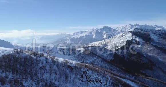 冬季白雪山山顶上的前方空中露出山谷森林树林雪山造就了视频的预览图