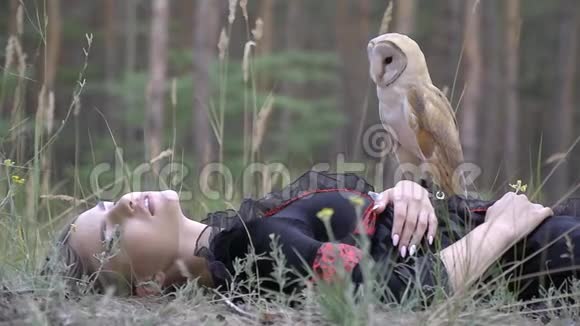 一只长着浅棕色羽毛的可爱的小猫头鹰坐在一个穿着黑红色衣服的女孩身上躺在针叶林里视频的预览图