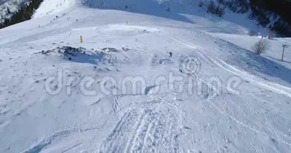 空中跟随滑雪者高山滑雪狗在冬天的雪山滑雪场后面在阳光明媚的日子里奔跑视频的预览图