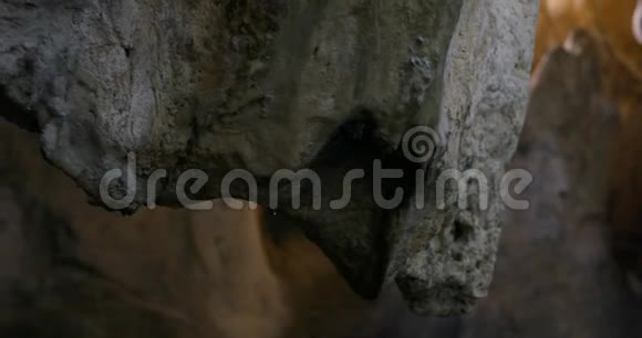 安塔利亚卡兰洞内景视频的预览图