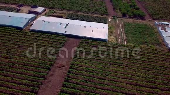 空中飞行飞越葡萄生长的温室旧的温室视频的预览图
