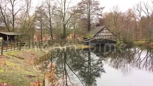 大自然中的老舍和湖视频的预览图