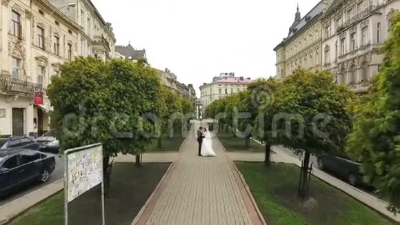 新婚夫妇步行树巷视频的预览图