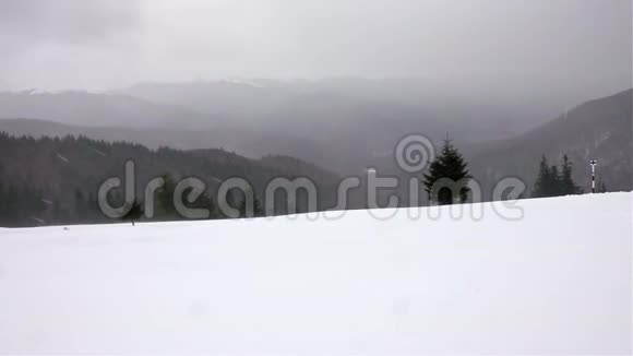暴风雪中的冬季景观树视频的预览图