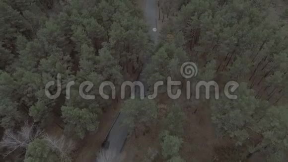 空中拍摄森林中的道路有许多树许多绿色植物视频的预览图