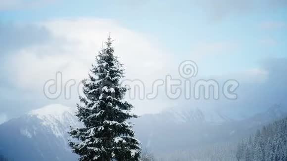飞树山雪冬天全景视频的预览图