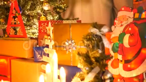 鹤在客厅里漂亮的圣诞树上射击视频的预览图