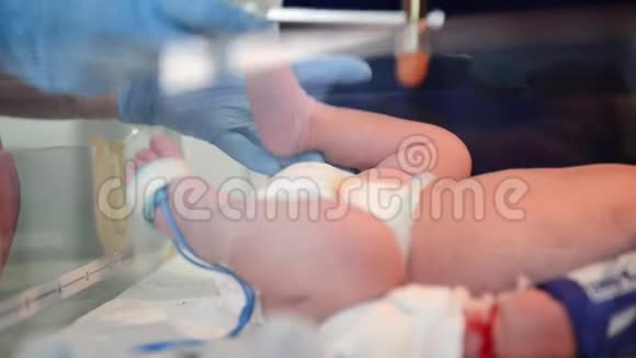 新生儿复苏在诊所检查新生儿的女医生视频的预览图