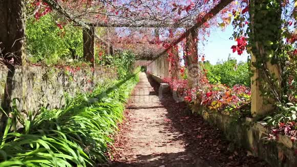 葡萄牙托玛尔基督修道院的秋园视频的预览图