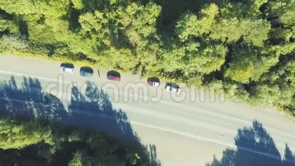 高速公路交通森林空中风景视频的预览图
