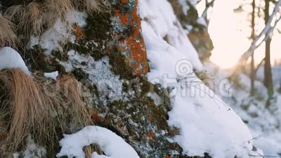 冬天的自然风景雪山晴天视频的预览图