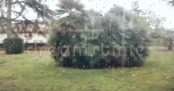 雨水落在玻璃背景上水视频的预览图