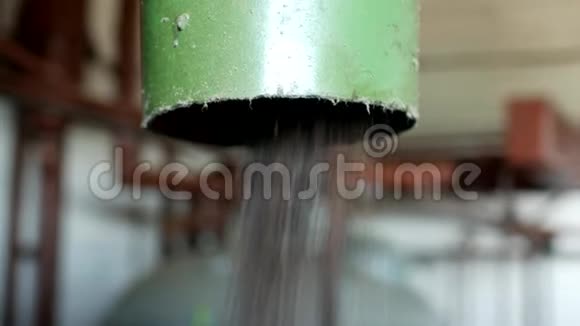 菜籽油的生产菜籽油籽的加工粉碎菜籽油籽的压榨视频的预览图