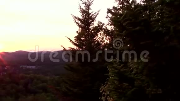 从云杉周围看日落时的地平线视频的预览图