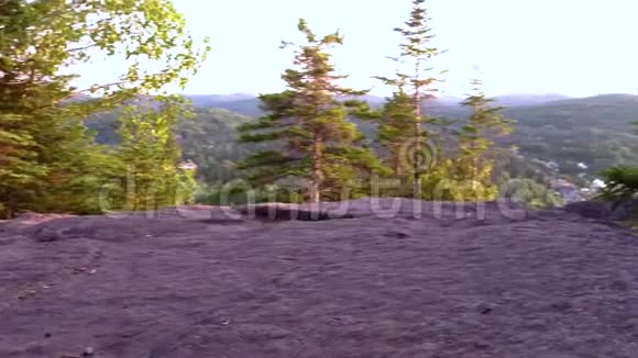 阿拉斯加的哈士奇狗站起来在山顶上走开视频的预览图