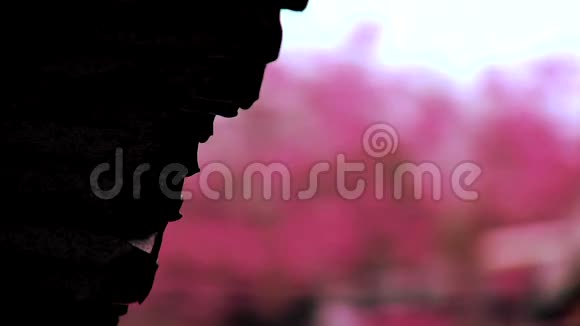 粉红色背景下的软雨视频的预览图