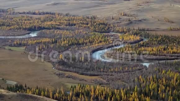西伯利亚阿尔雅地区蜿蜒河流的全景照片视频的预览图