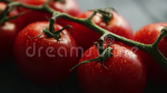 成熟的红樱桃西红柿视频的预览图