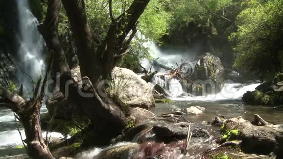 阿根廷的荒野视频的预览图
