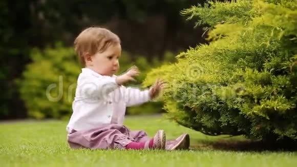 可爱的小女孩学习在城市公园的绿色草地上爬行视频的预览图