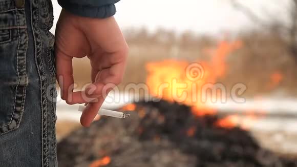 农民焚烧干芦苇视频的预览图