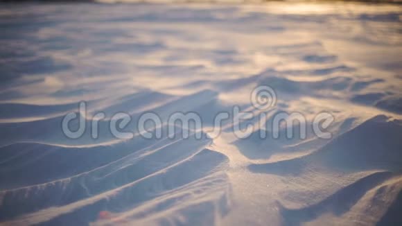 北极风暴日落时分的雪暴特写镜头风吹雪花把它们吹过田野视频的预览图