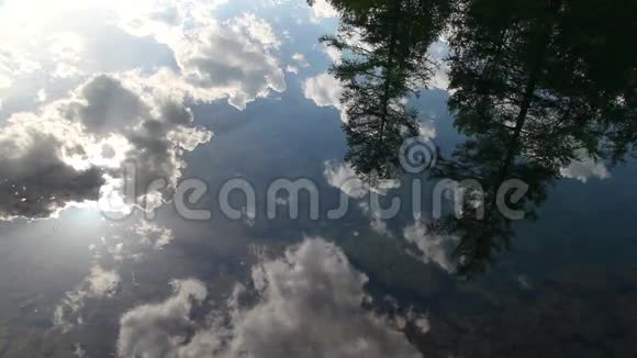 天空和森林在水中反射视频的预览图