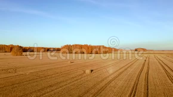 空中视野在田野上滚动干草堆稻草收割小麦带着一捆干草的田园景观片段视频的预览图