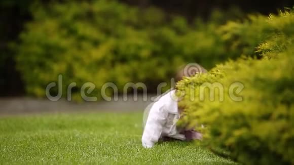 一个快乐的女婴正坐在城市公园灌木丛附近的绿草上视频的预览图