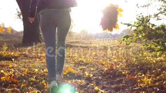 年轻的女人手里拿着一束黄色的枫叶穿过秋天的公园女孩在美丽的视频的预览图