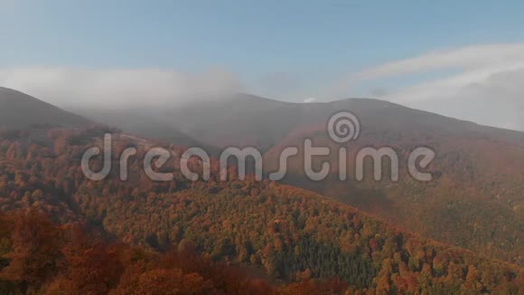 橙色的叶子喀尔巴阡山脉的秋天视频的预览图