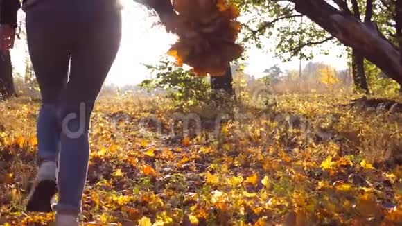 年轻的女人手里拿着一束黄色的枫叶穿过秋天的公园女孩在美丽的视频的预览图