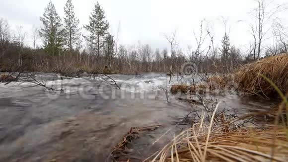 美丽的运动湍急的河水视频的预览图
