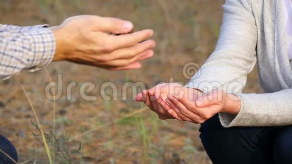 男女手动作缓慢男人的手把松果递给女人爱的种子视频的预览图