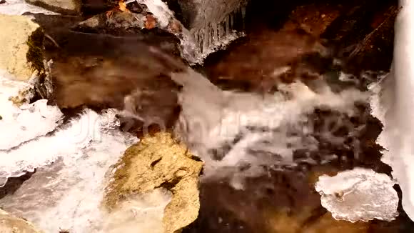冬天的森林溪视频的预览图