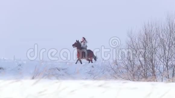年轻女子骑着红马在雪地的户外驰骋视频的预览图