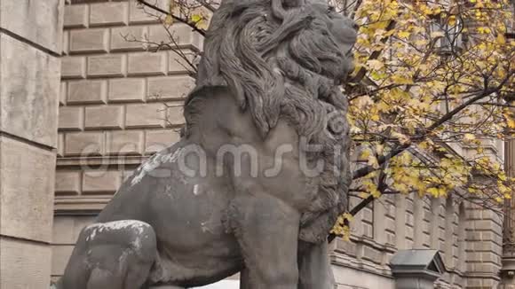 狮子雕像视频的预览图