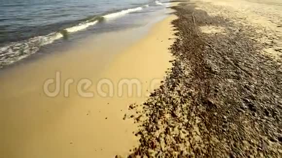 在波罗的海的海滩上漫步沙滩和鹅卵石视频的预览图