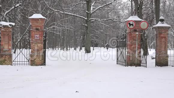 冬季开红砖公园大门4K视频的预览图