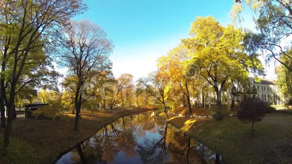 时间推移金秋树周围里加市海峡拉脱维亚欧洲视频的预览图