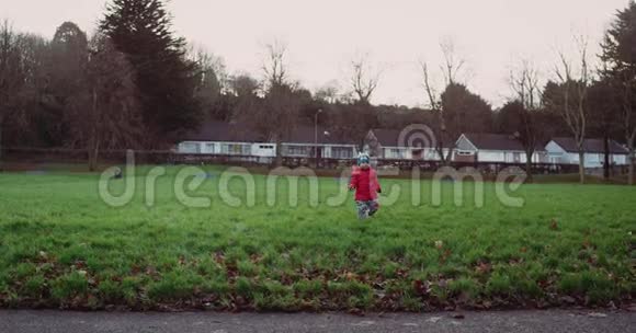 可爱的孩子在公园的绿草上散步红色史诗4k慢动作爱尔兰2016年视频的预览图