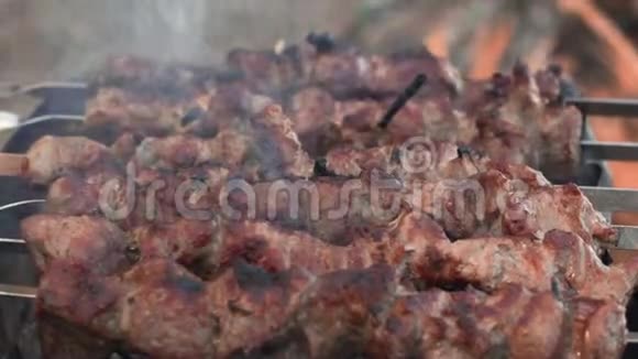 在户外的布拉齐尔特写猪肉切碎烹饪烤架烤猪肉串视频的预览图