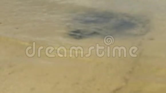 海岸线上的小波浪视频的预览图