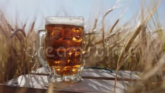 一杯冷啤酒站在田里的木箱上视频的预览图