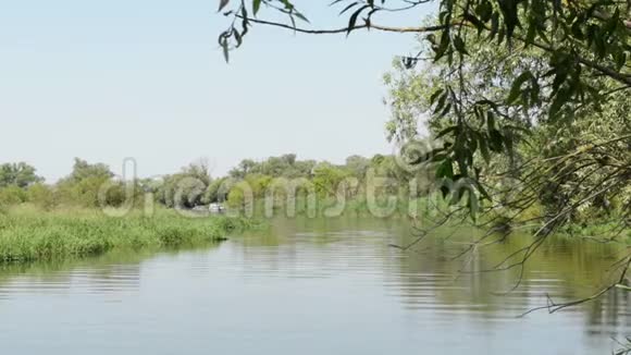 春季的哈维尔河景观岸边的柳树德国哈维尔兰地区视频的预览图