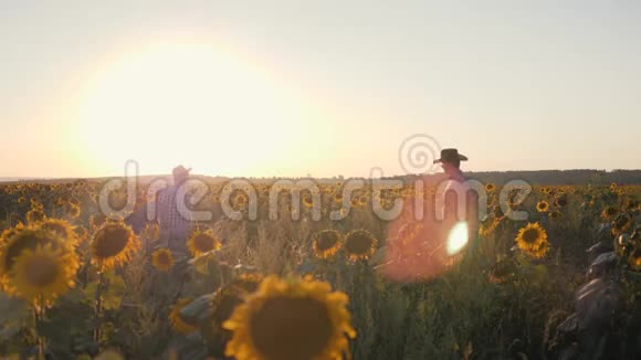 两个农民在一片土地上日落时带着向日葵视频的预览图