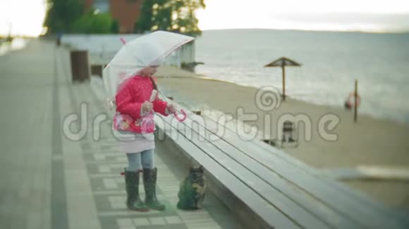 小女孩和猫带着雨伞在雨中玩耍吃着海岸上的冰淇淋视频的预览图